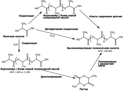 Полимолочная кислота увеличение полововой орган. Полимолочная кислота схема введения. Полимолочная кислота формула. Полимолочная кислота структурная формула. Синтез полимолочной кислоты.