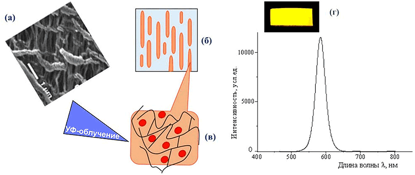 Российские ученые из МГУ имени М.В.Ломоносова и МИФИ разработали новый материал из пористого полиэтилена и наночастиц Российские ученые из МГУ имени М.В.Ломоносова и МИФИ разработали новый материал из пористого полиэтилена и наночастиц