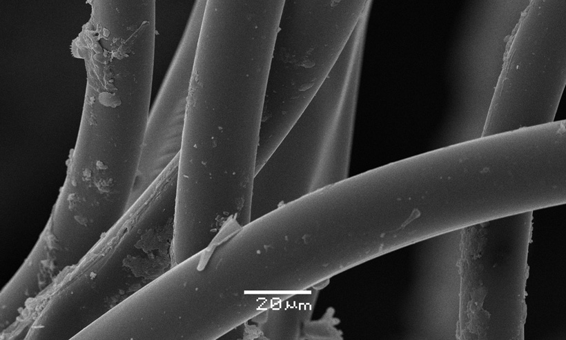 Бактериальное воздействие на нетканые материалы изучат в МГУ