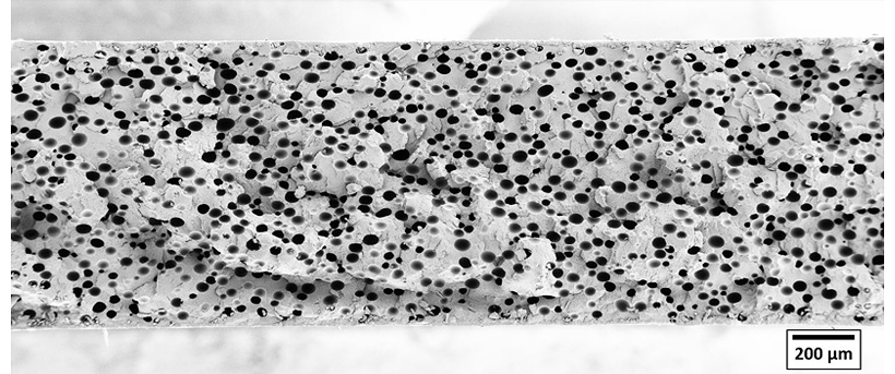 Структура пенопласта Promix Microcell с размером ячеек < 50 мкм на примере ПЭТ-пленки