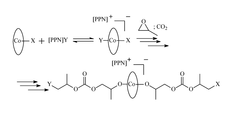 Предложенный механизм сополимеризации PO и CO2 в присутствии (salcy)CoX и [PPN]Y