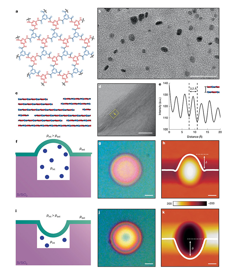 а - Теоретическая структура монослоя тромбоцитов 2DPA-1. б - ПЭМ-изображение дисперсных нанопластинок 2DPA-1, адсорбированных на поверхности ПЭМ-сетки на основе графена. Изображение, полученное при увеличении в 110 000 раз. в, теоретическая структура плас