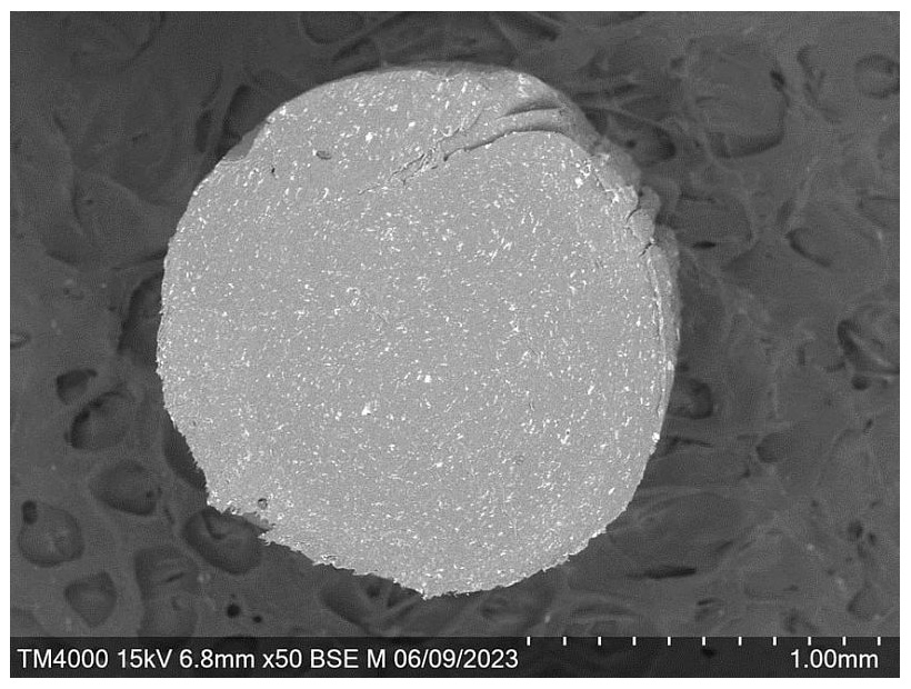 Срез синтезированной композитной нити под электронным микроскопом