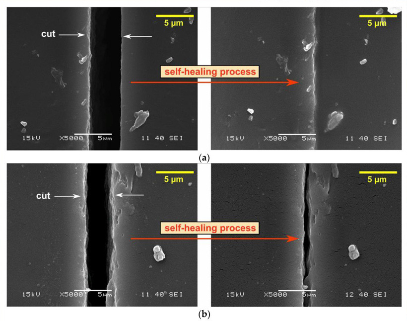 SEM-изображение полиуретана: а. модифицированные PU-T2; б. традиционные PU-(NFu2