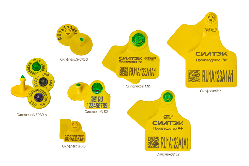 ����������� ����� ����� ��� ������������ �������� ������� ��������� ������������ ������� 