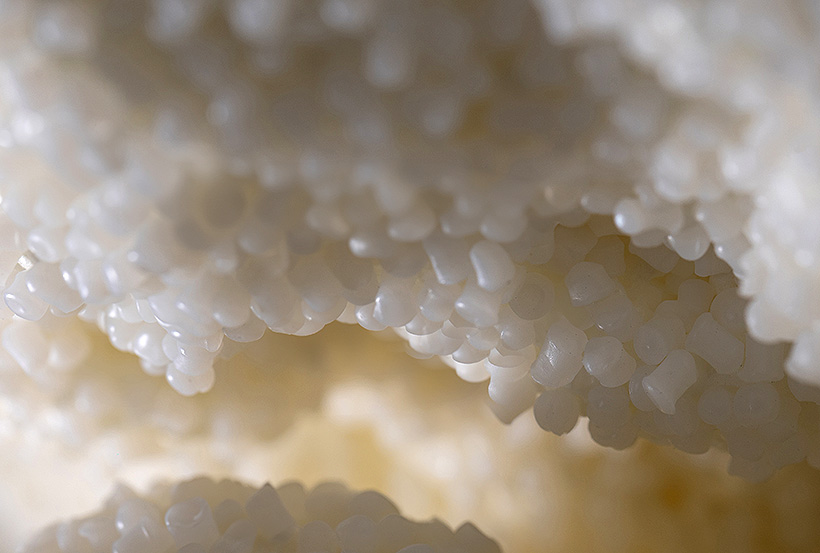 ������� ���-�������� ������������ �����, ���������� 